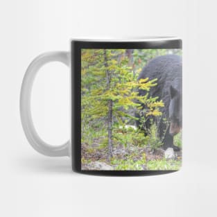 Black Bear Mug